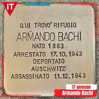 armando bachi memoria quotidiana