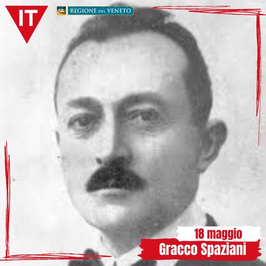 gracco spaziani memoria quotidiana