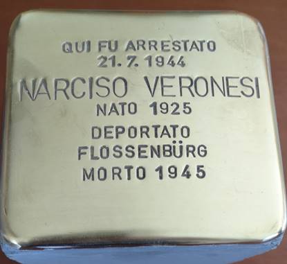 Pietra Narciso Veronesi